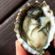 Image for article titled Awww shucks: There are no finer oysters on the West Coast than at Taylor Shellfish Farms